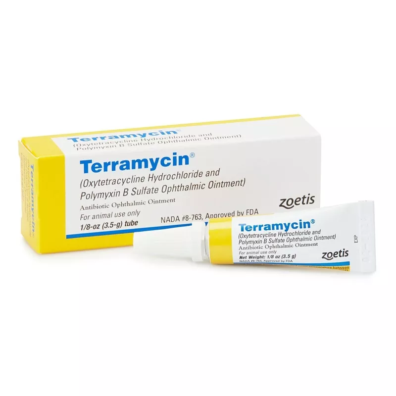 zoetis-terramycin-ophthalmic-ointment Zoetis Terramycin Ophthalmic Ointment