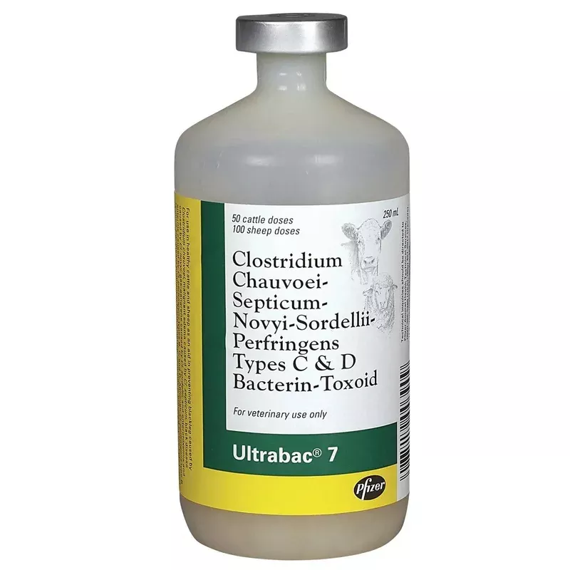 zoetis-ultrabac-7-50-dose Zoetis UltraBac 7 – 50 Dose