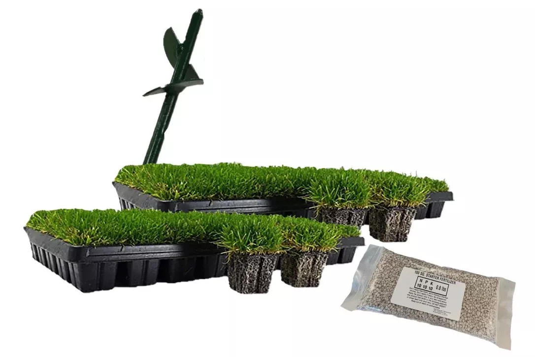 zoysia-plug-starter-package Zoysia Plug Starter Package